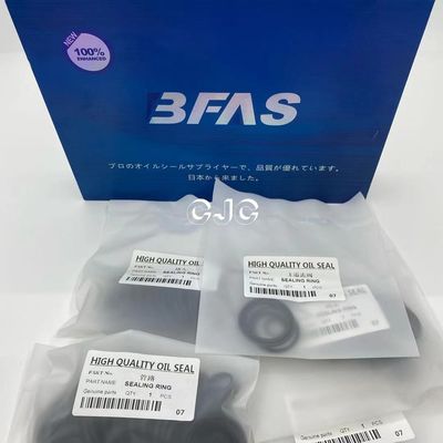 Yağa Dayanıklı FKM Hidrolik Silindir Yağ Keçesi Kiti SK200 İçin 5-500mm Çap